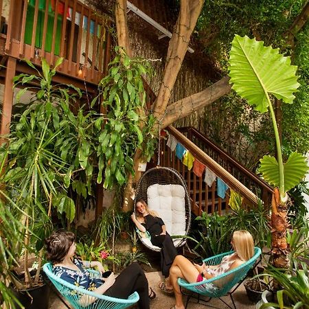 Solarium Colorado Otel Fort Collins Dış mekan fotoğraf
